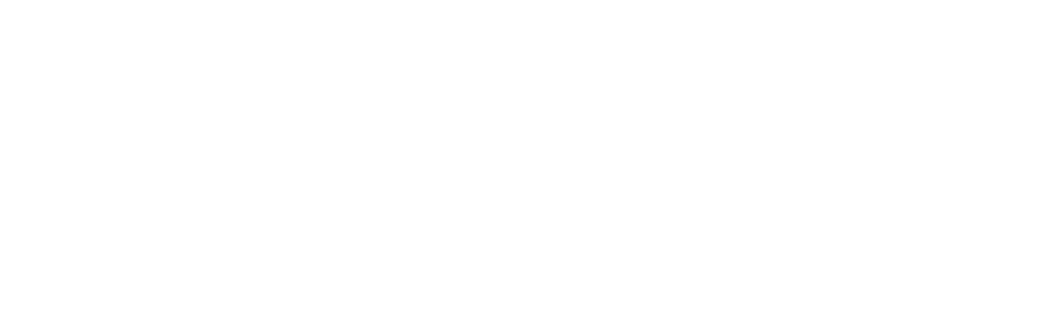 GeekyPay